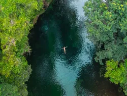 Half-Day Waterfall Wanderers Tour in Queensland